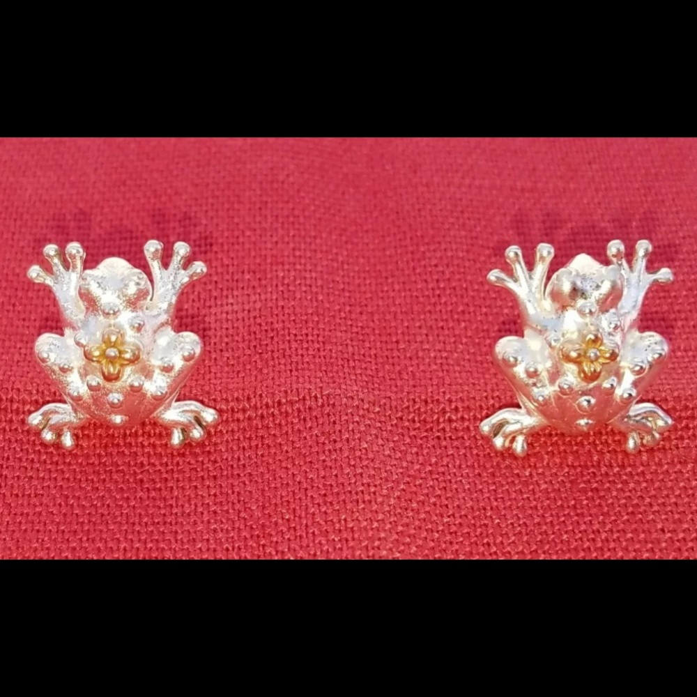 Barbara Bixby silver/gold earrings.